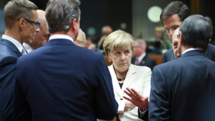 Merkel cieszy się z wyboru Tuska.<br />
"Pełen pasji Europejczyk"