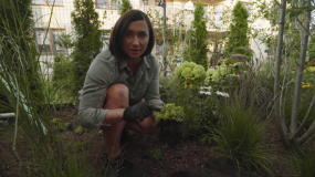 "Wymarzone ogrody": jakie rośliny wybrać do rabaty i jak je ustawić?